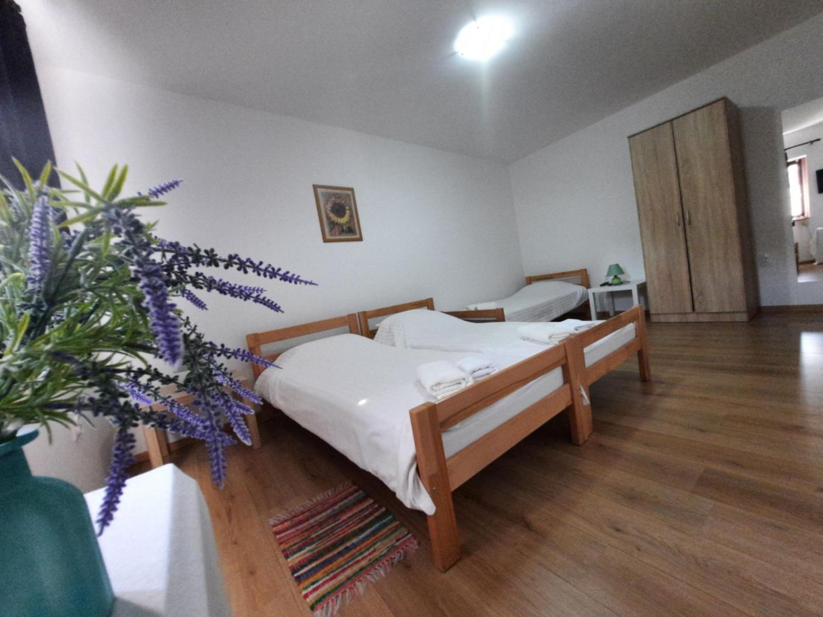 Apartmani Sunflower Sremski Karlovci Ruang foto