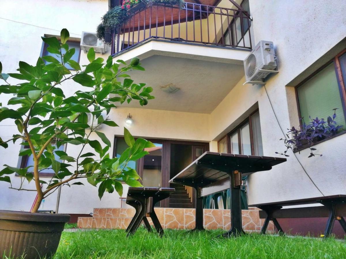 Apartmani Sunflower Sremski Karlovci Bagian luar foto
